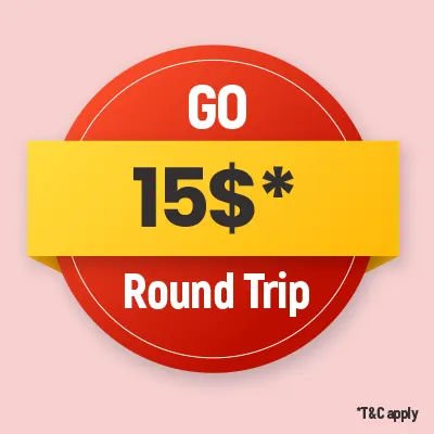 Go Round Trip